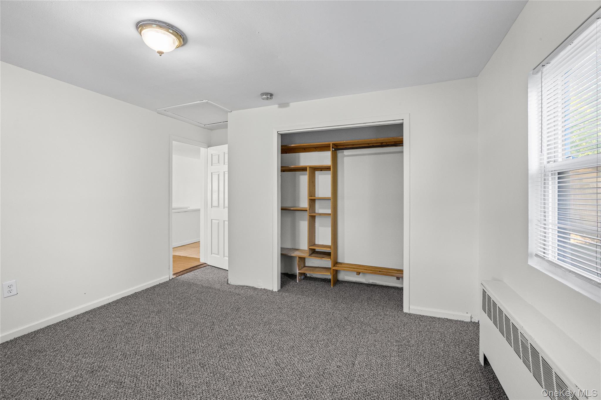 20 Buchanan Avenue Property Photo 22