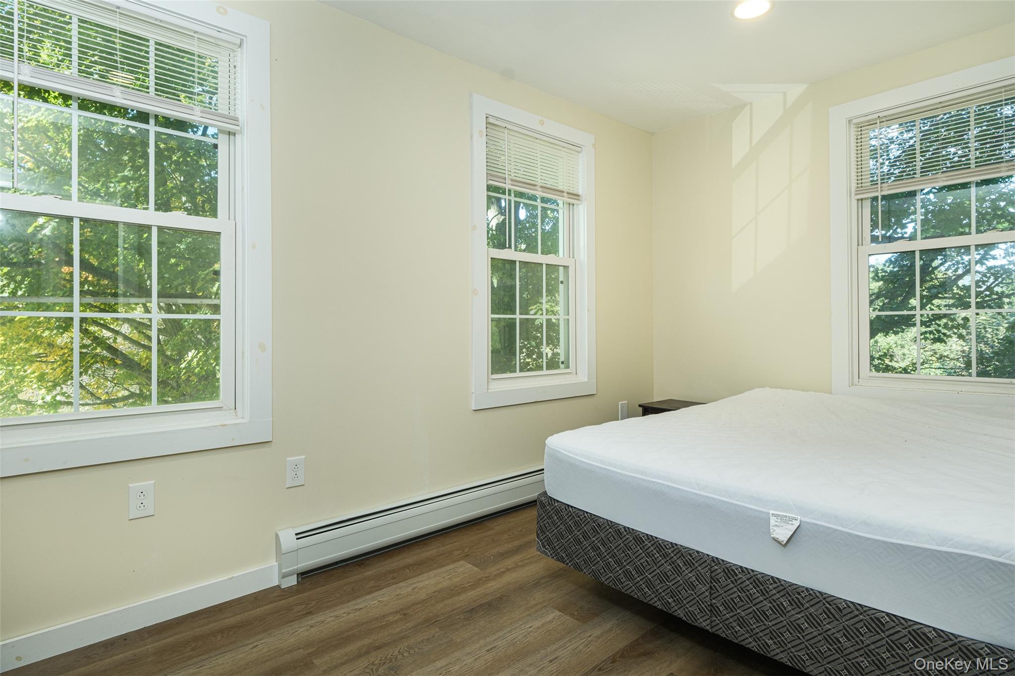 71 Teichman Road Property Photo 28