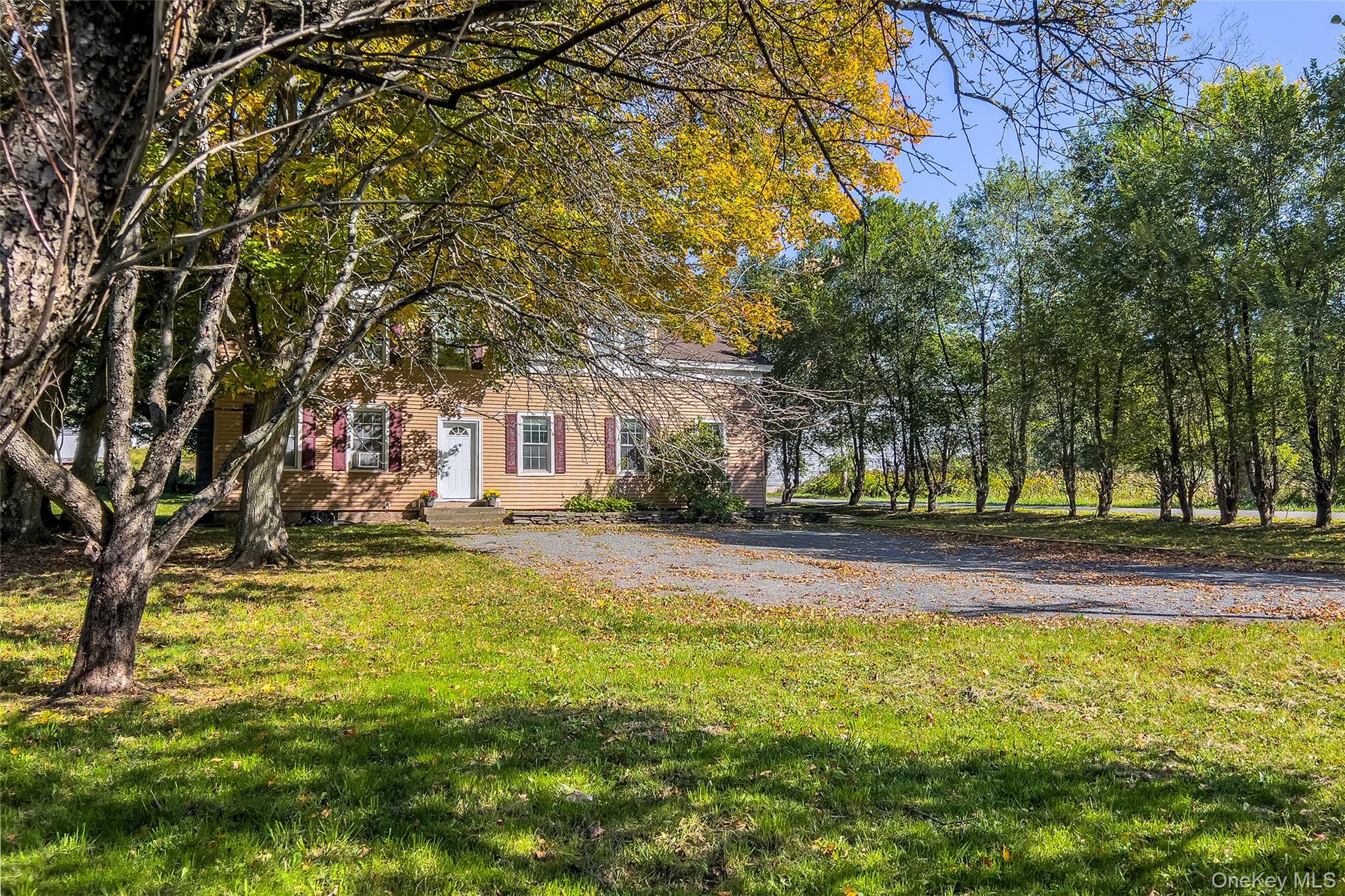 71 Teichman Road Property Photo 45