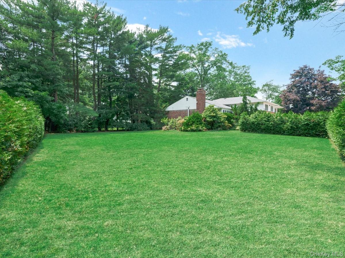 78 Poplar Street Property Photo 36