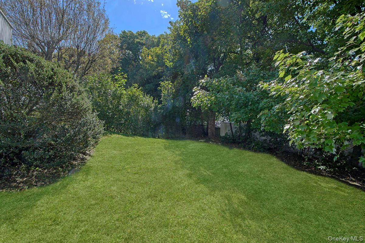 41 Mount Morris Avenue Property Photo 26