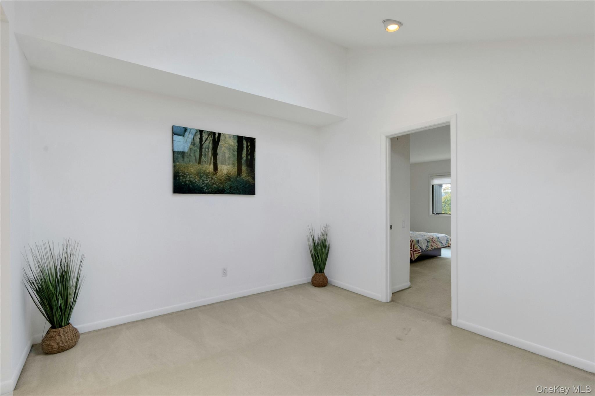 11 Arapaho Property Photo 19