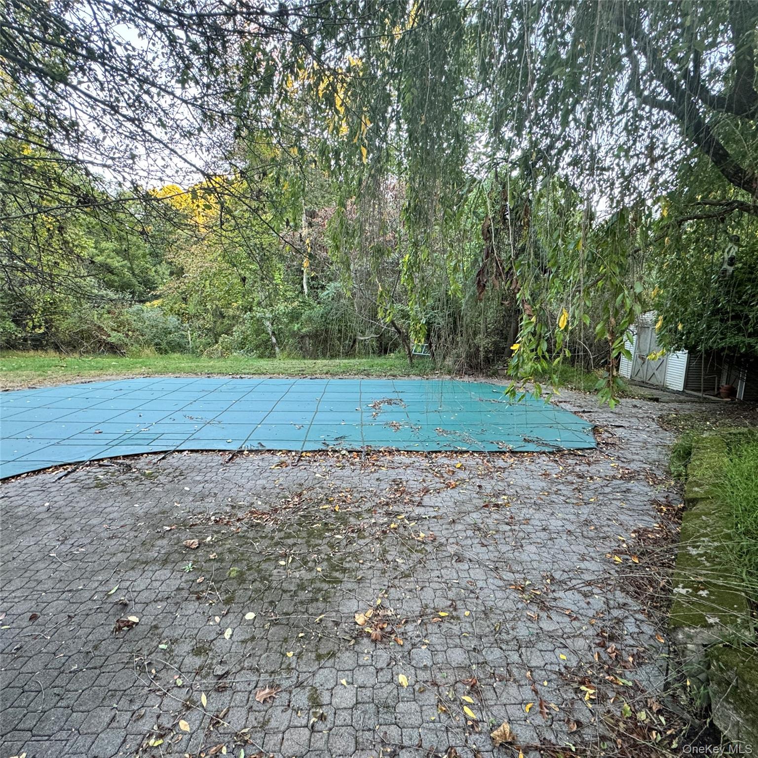 67 Steele Road Property Photo 7