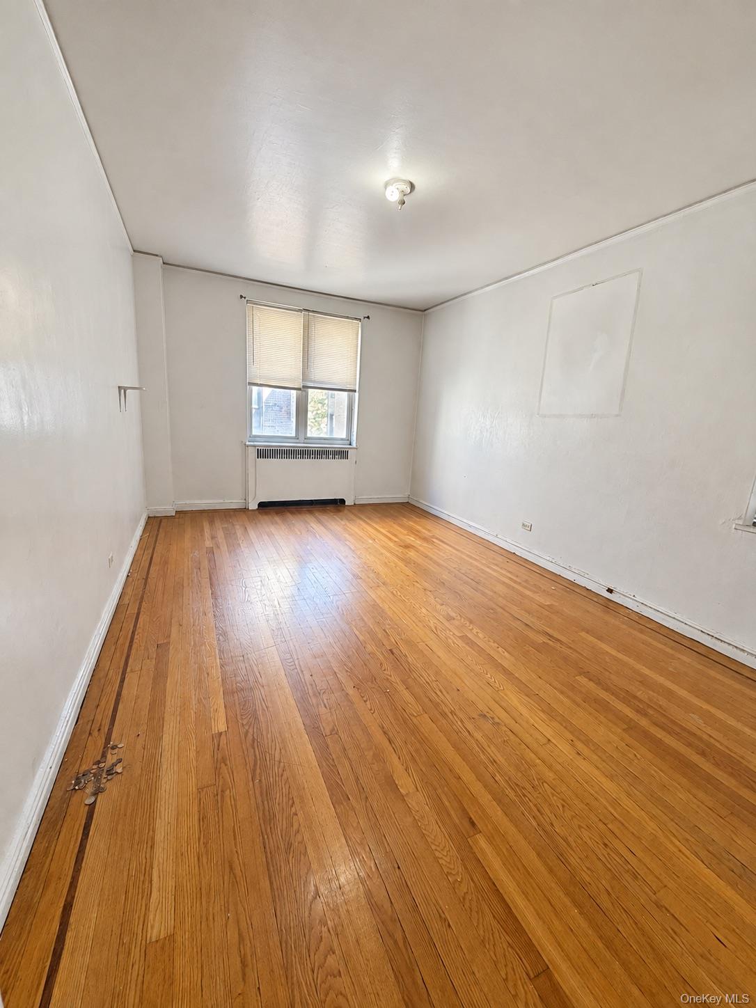 2160 Bronx Park Park 3b Property Photo 8