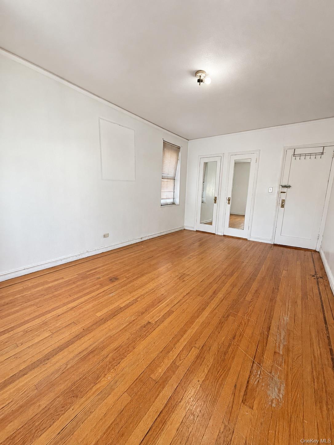 2160 Bronx Park Park 3b Property Photo 9