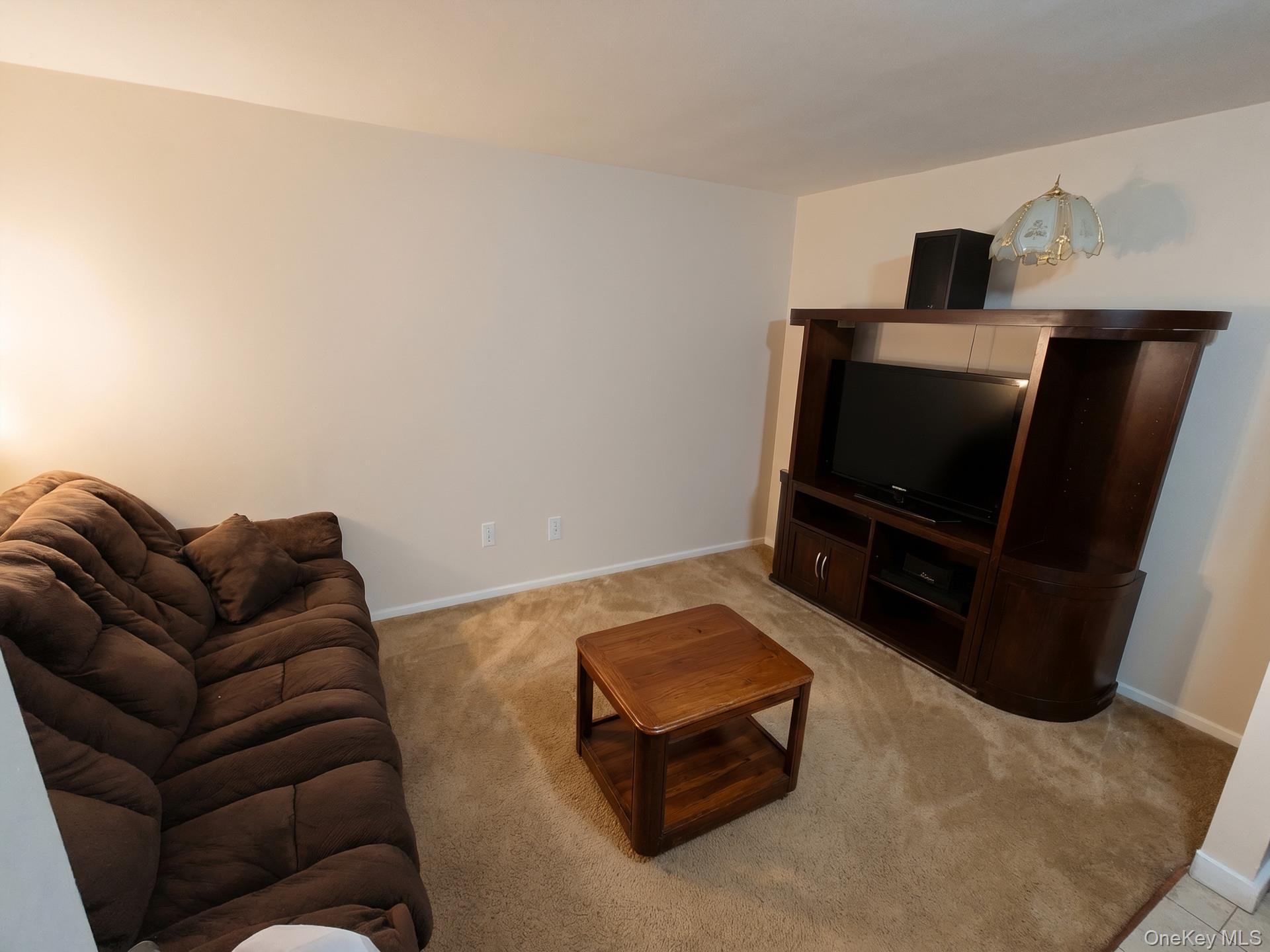 1439 Schenectady Avenue Property Photo 10