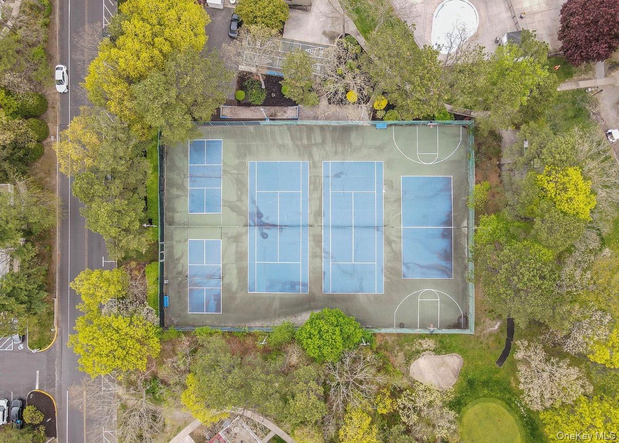 740 Blue Ridge Drive Property Photo 41