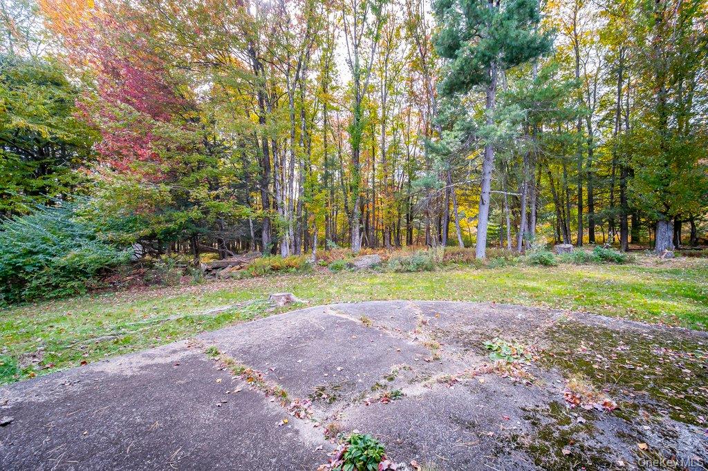9 Kathleen Court Property Photo 19