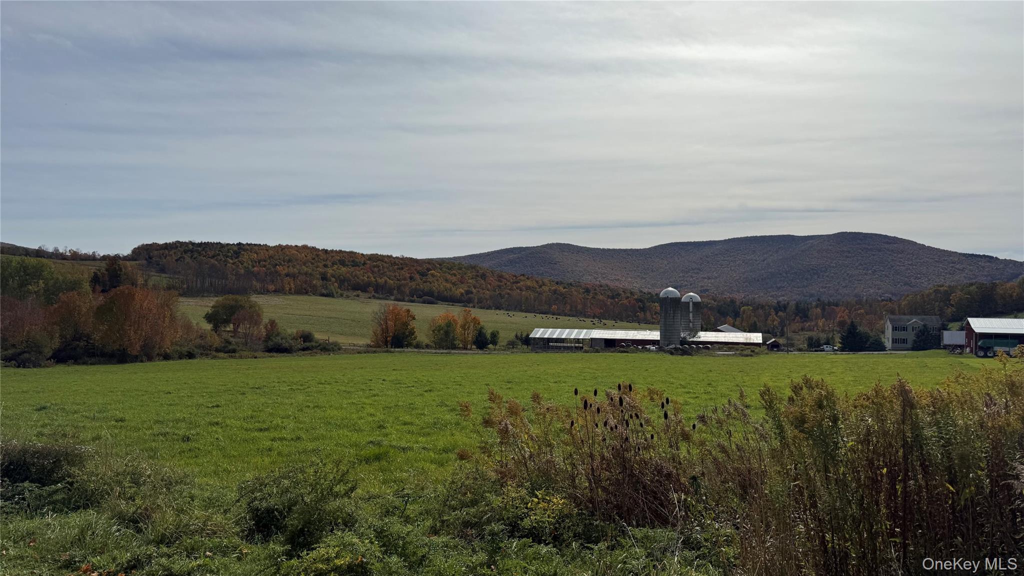 1360 Foote Hollow Road Property Photo 26