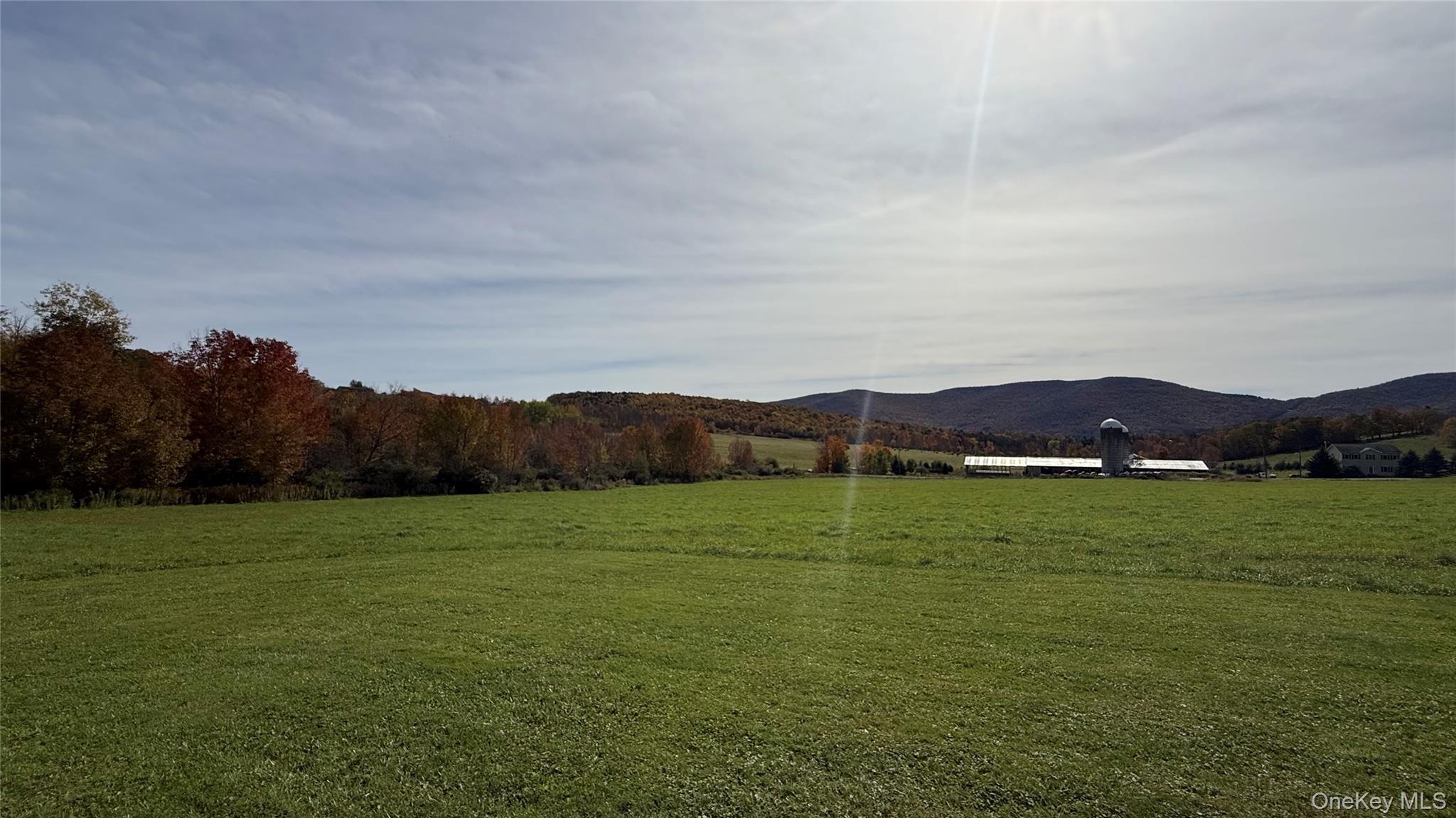 1360 Foote Hollow Road Property Photo 28
