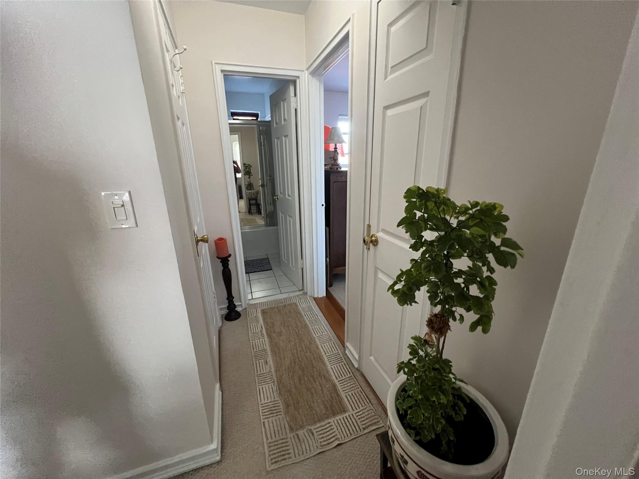 216-05 48th Avenue 2c Property Photo 13