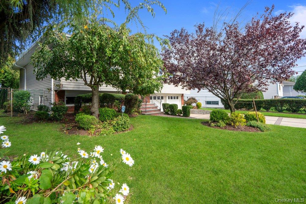 209 Arrow Street Property Photo 2