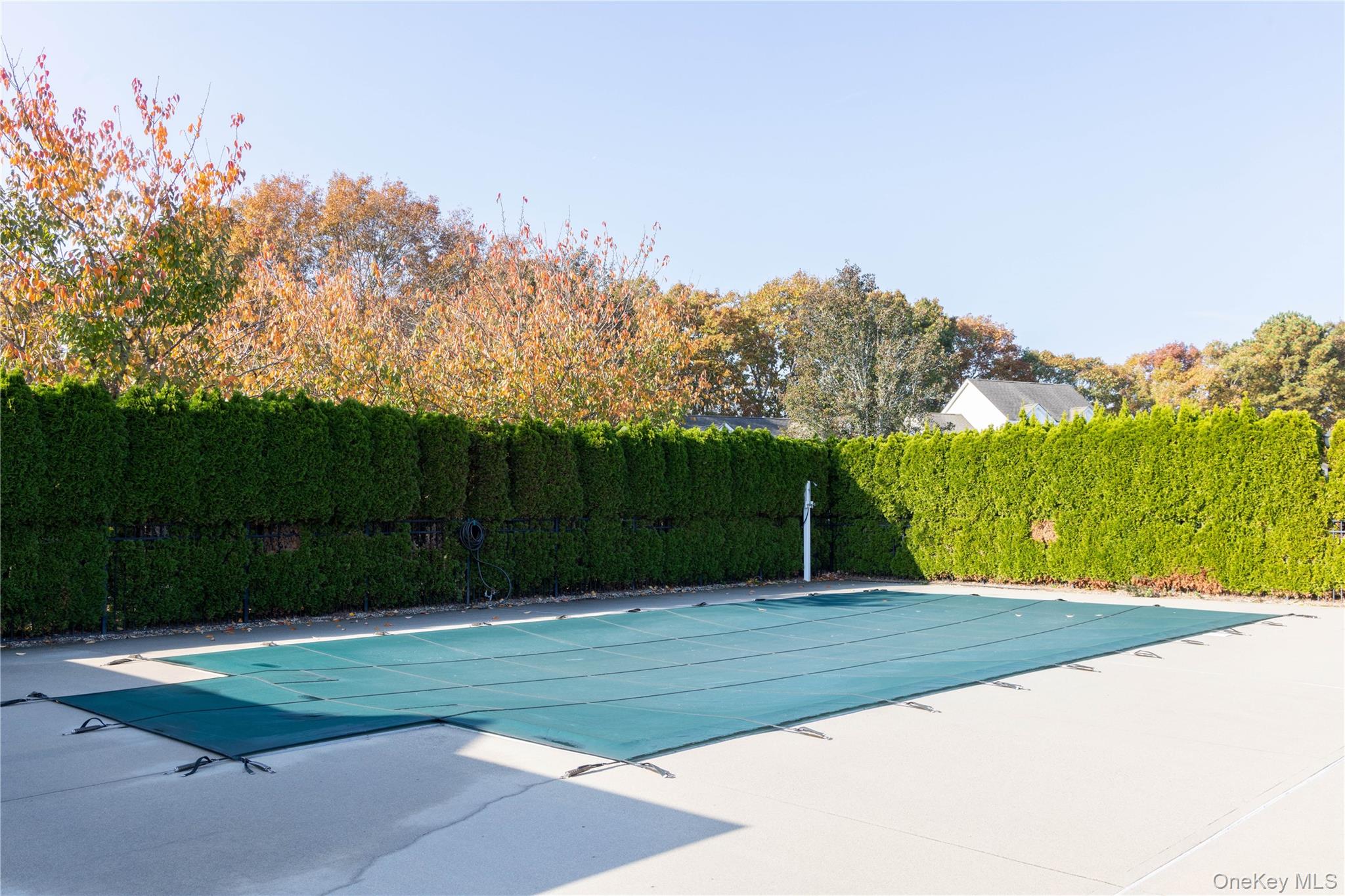 1504 Pebble Beach Path Property Photo 17