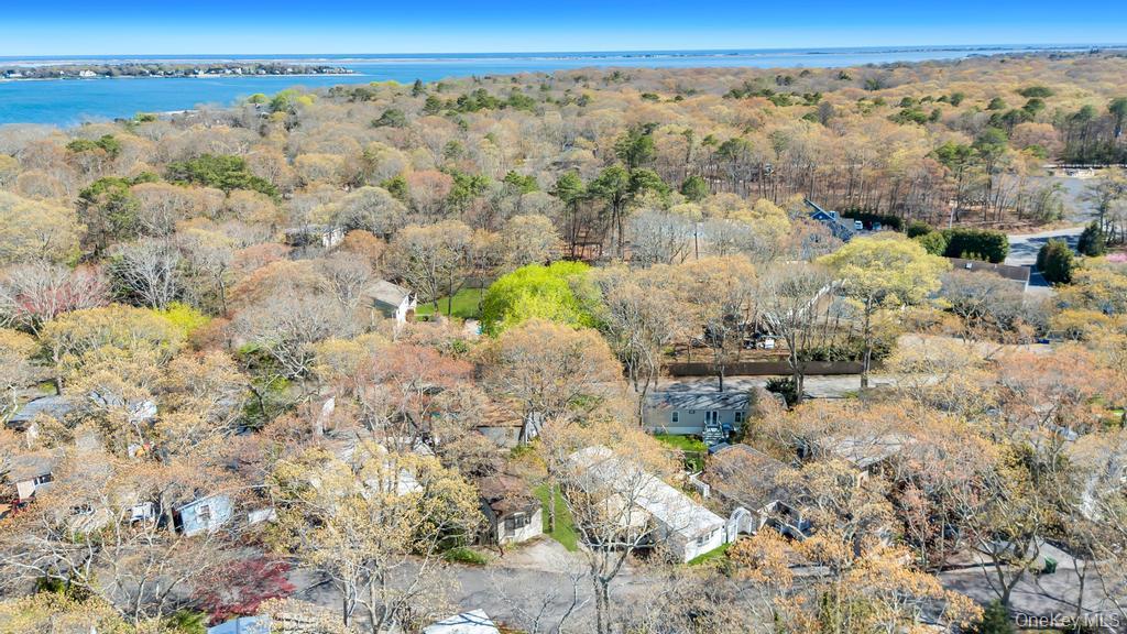 229 W Montauk Highway 87a Property Photo 26