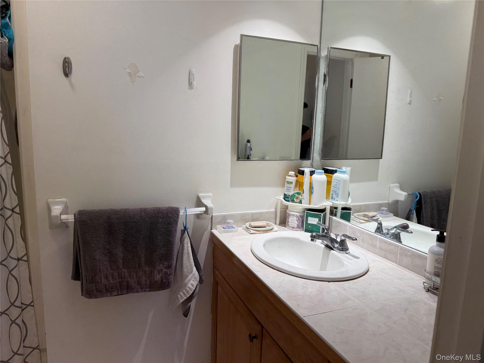 1408 Eagle Bay Drive Property Photo 14