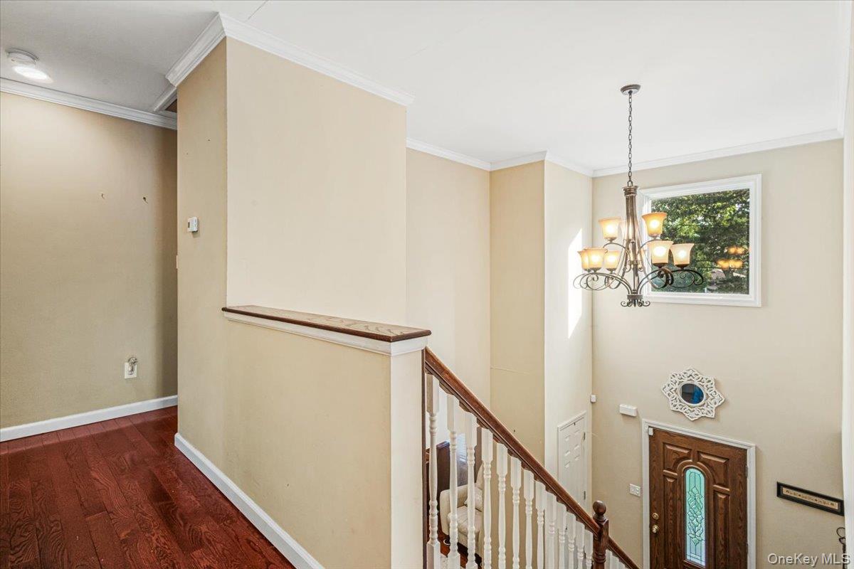 61 Delamere Street Property Photo 14