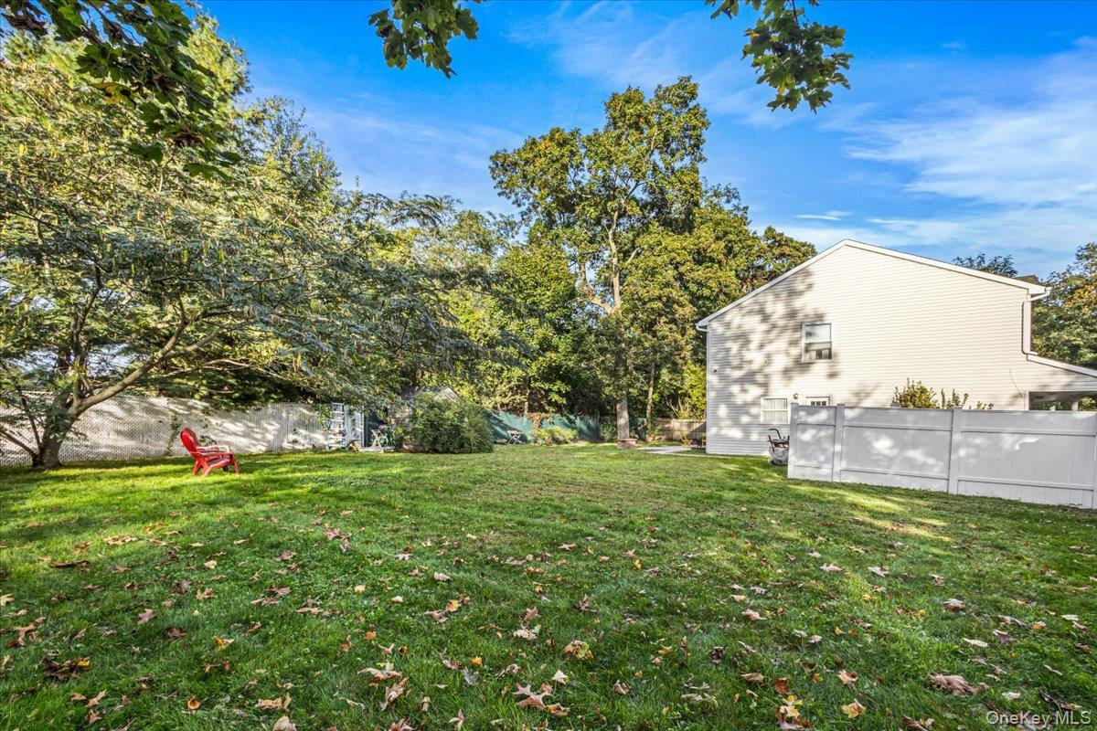 61 Delamere Street Property Photo 24