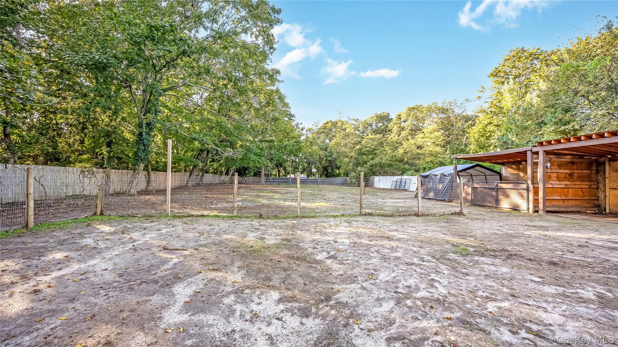 56 Orchard Road Property Photo 3