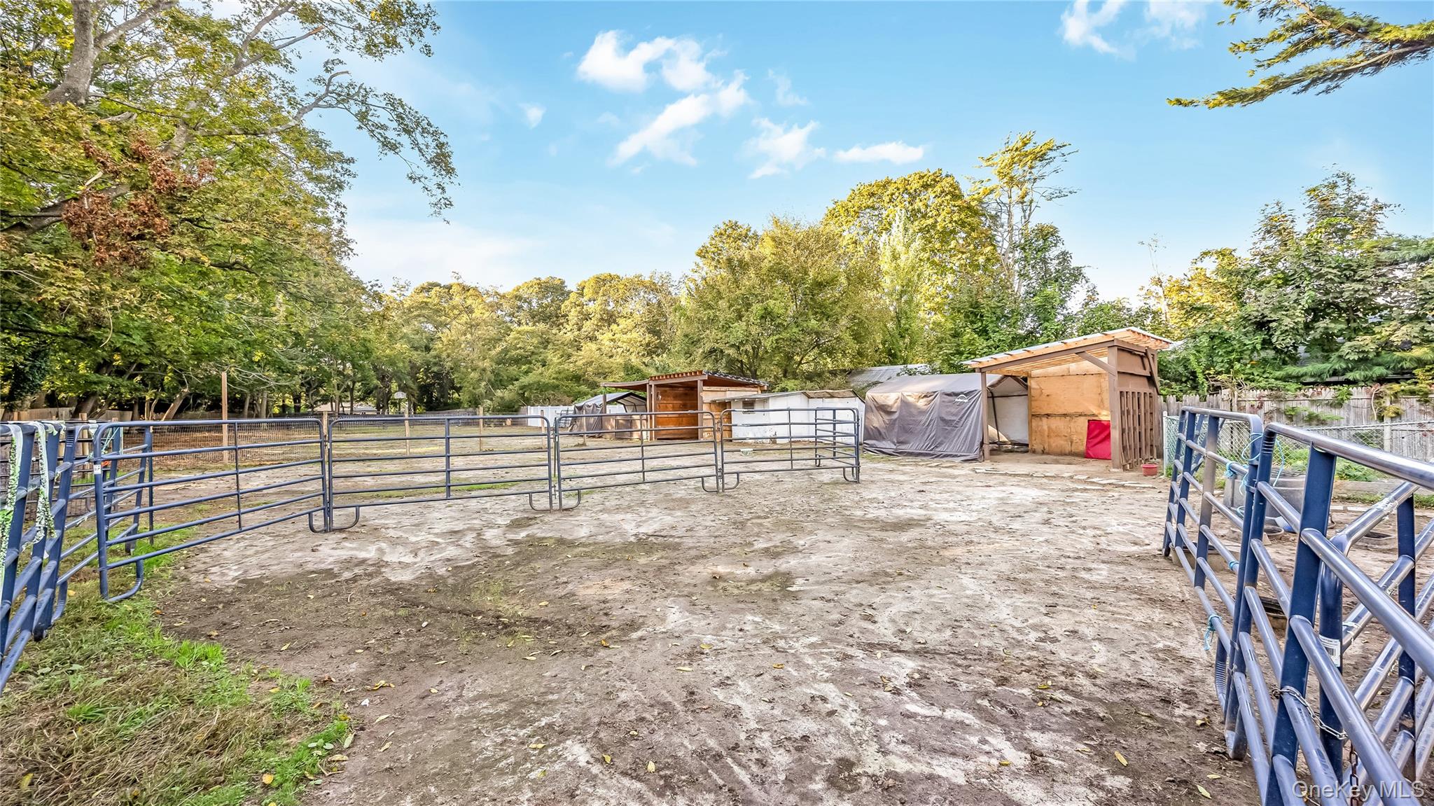56 Orchard Road Property Photo 24