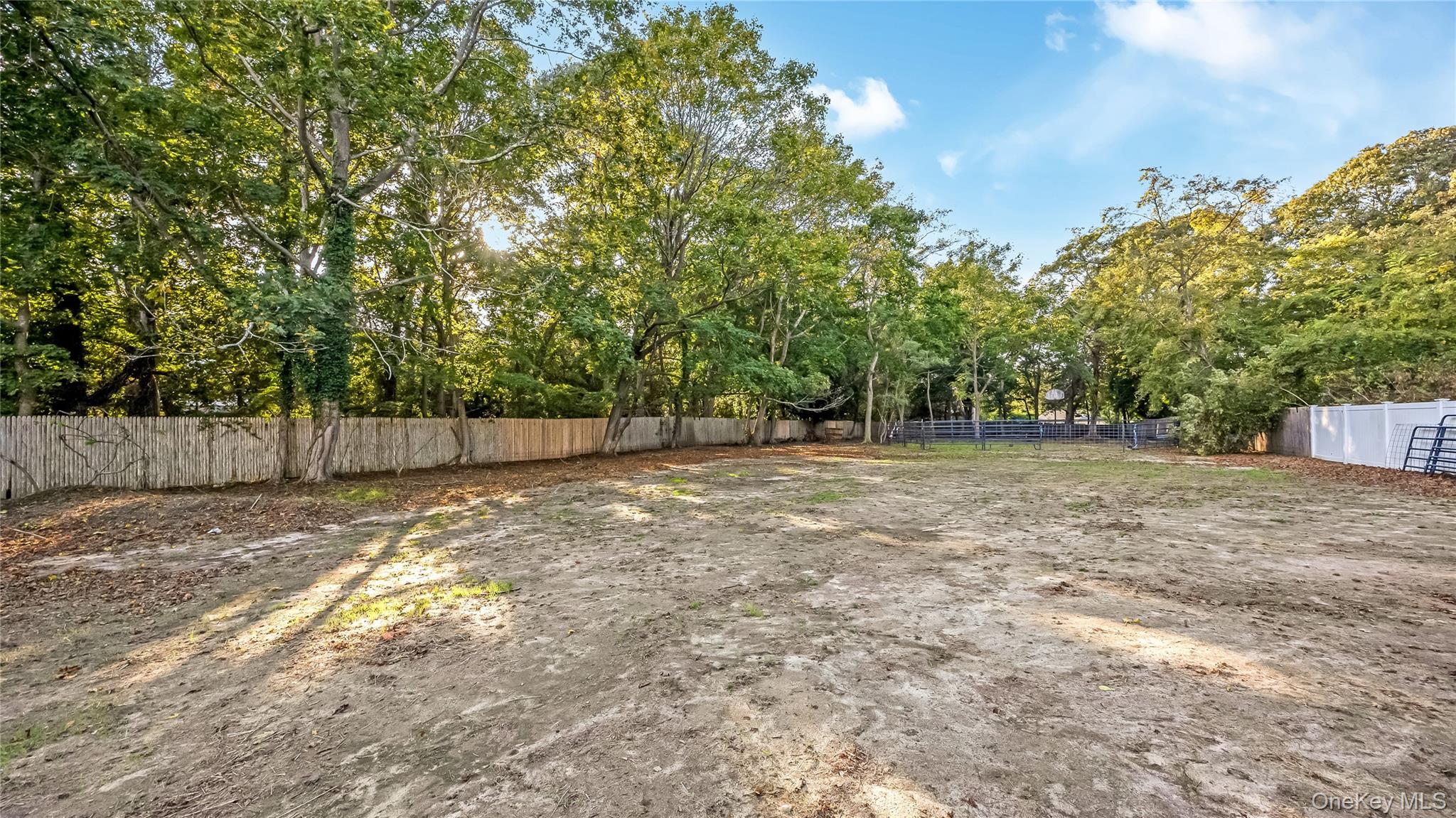 56 Orchard Road Property Photo 28