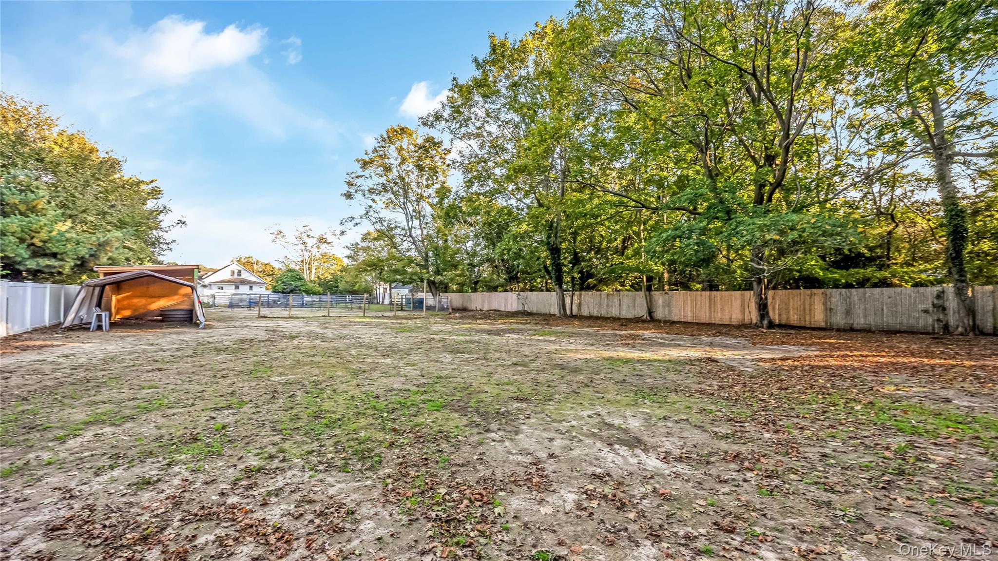 56 Orchard Road Property Photo 30