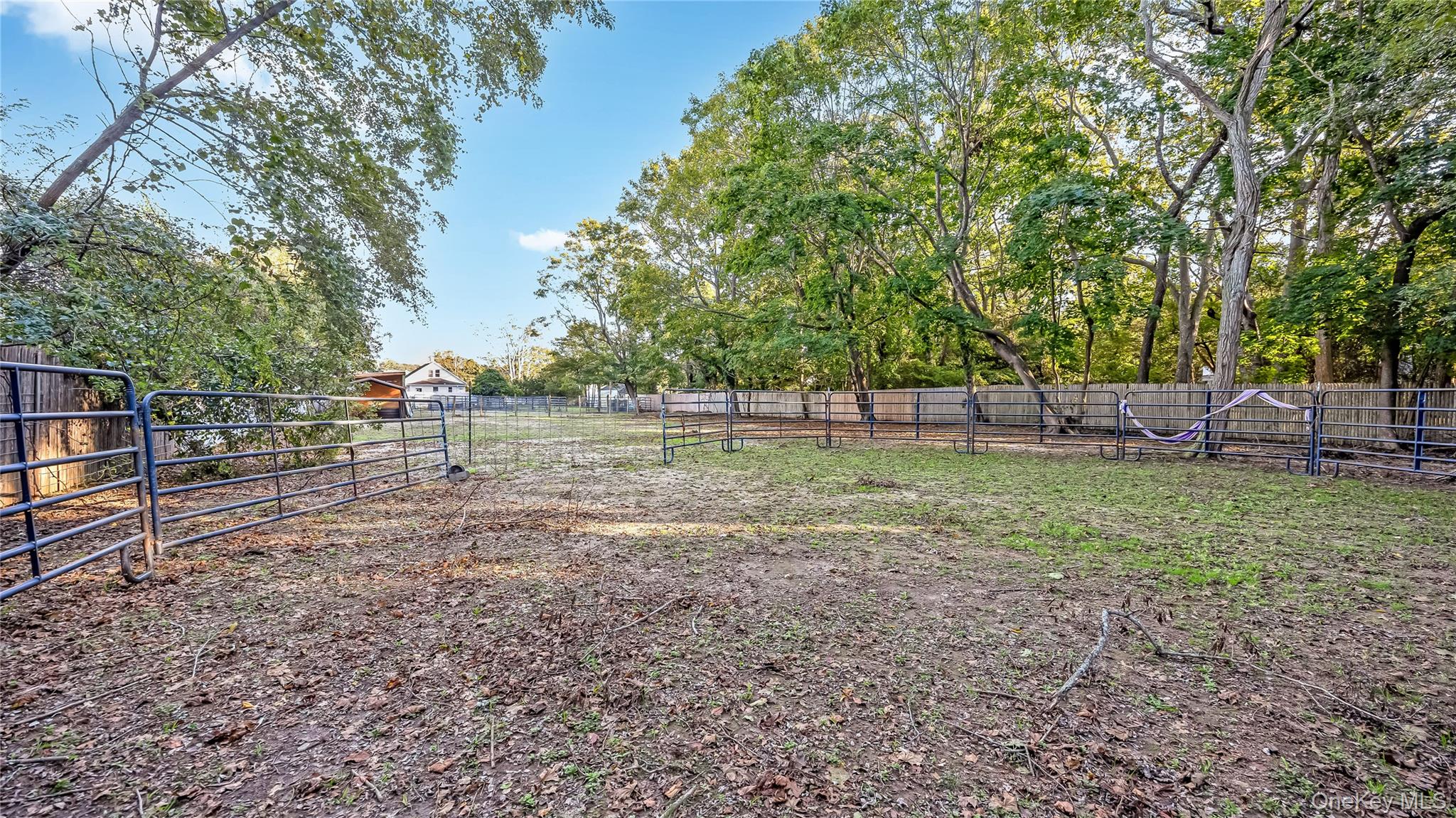 56 Orchard Road Property Photo 31