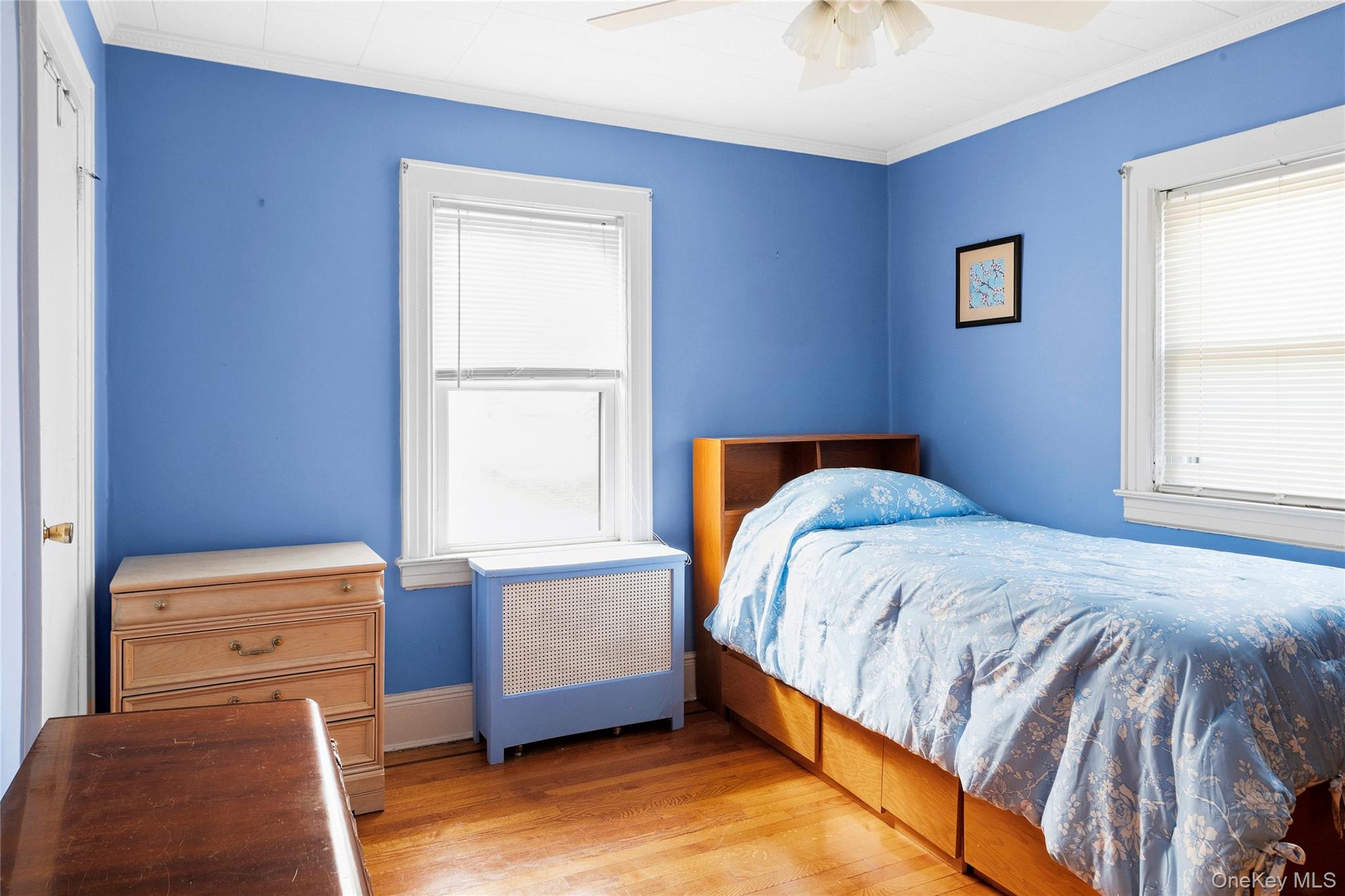 43 Marlborough Road Property Photo 16