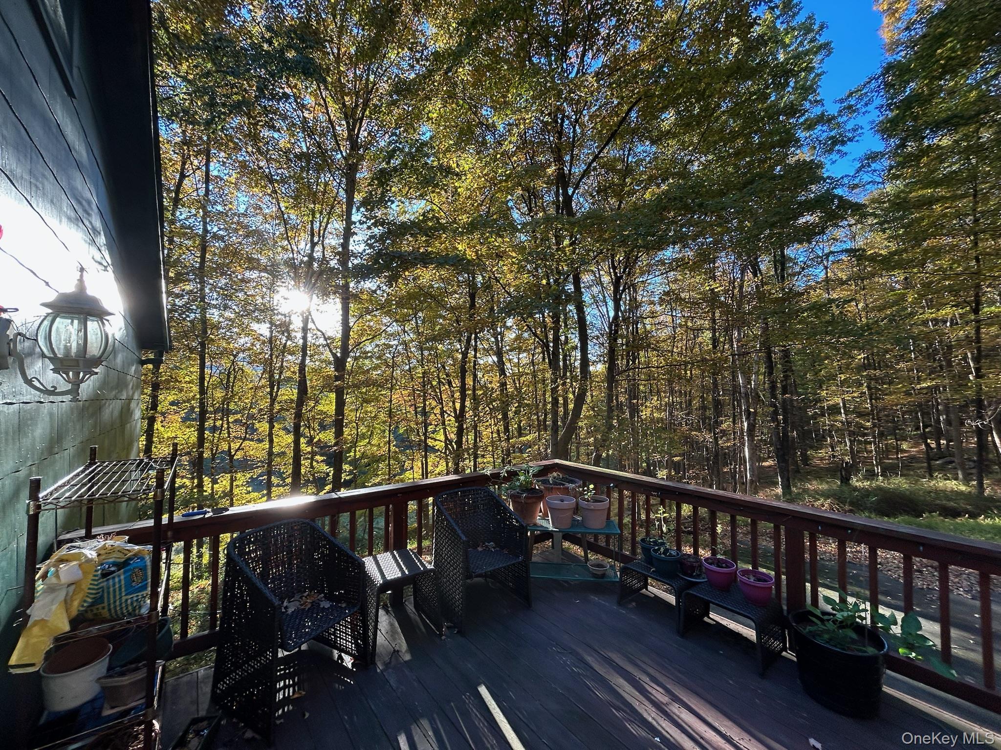 113 121 Galligan Road Property Photo 20