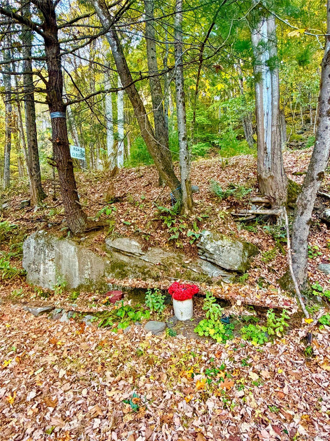 113 121 Galligan Road Property Photo 32