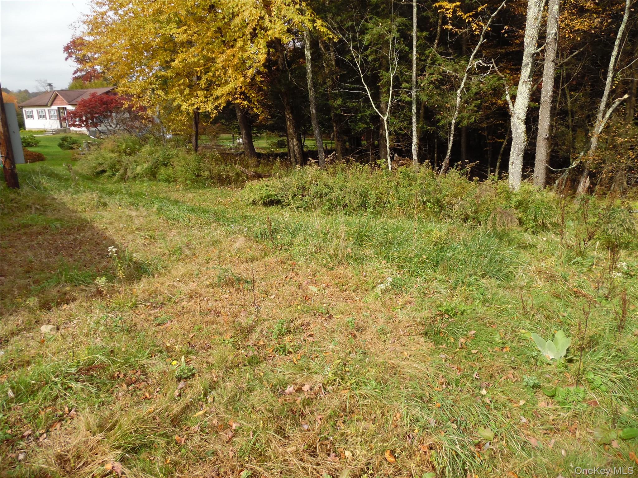 204 Mongaup Road Property Photo 8