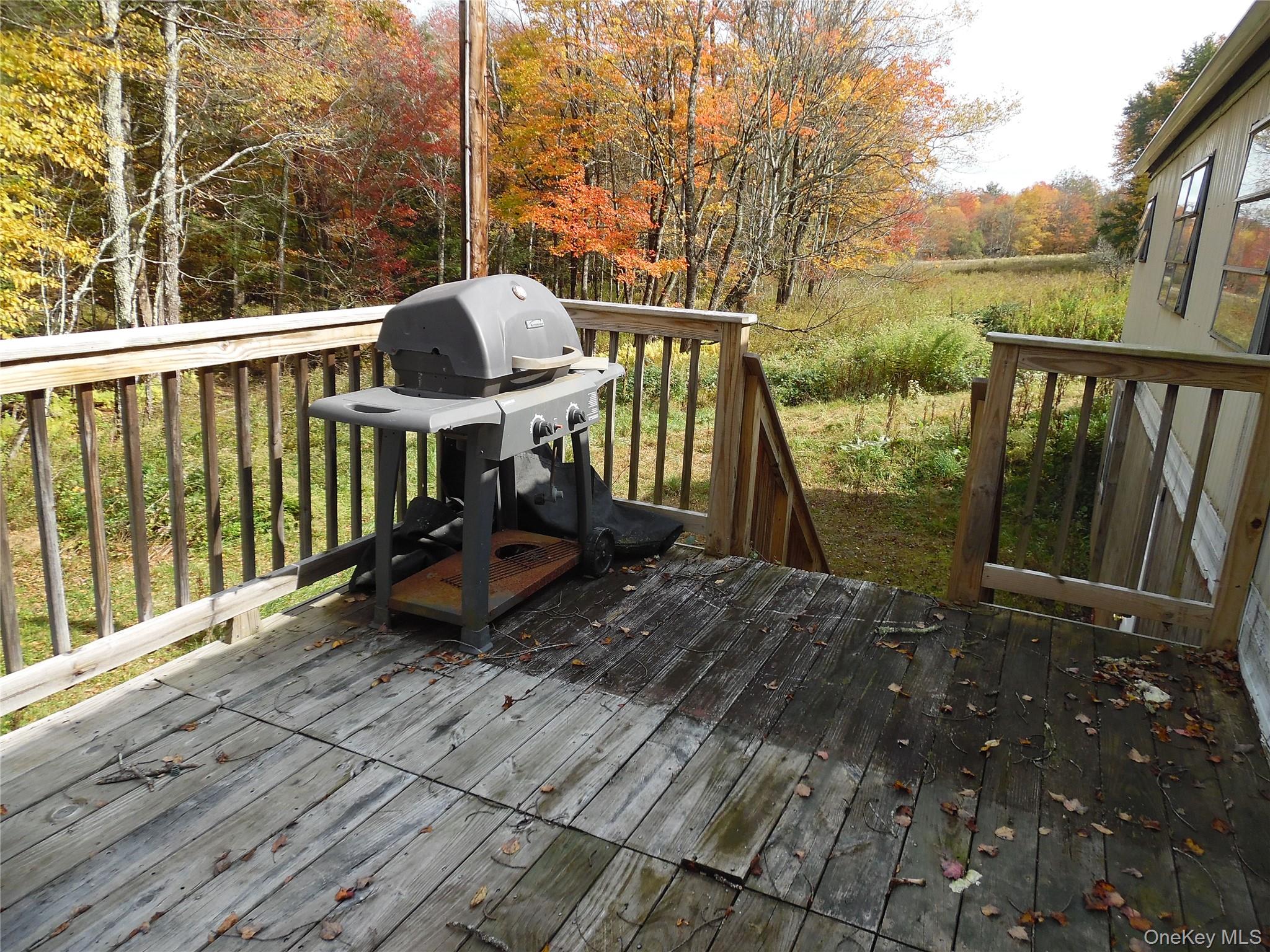 204 Mongaup Road Property Photo 16