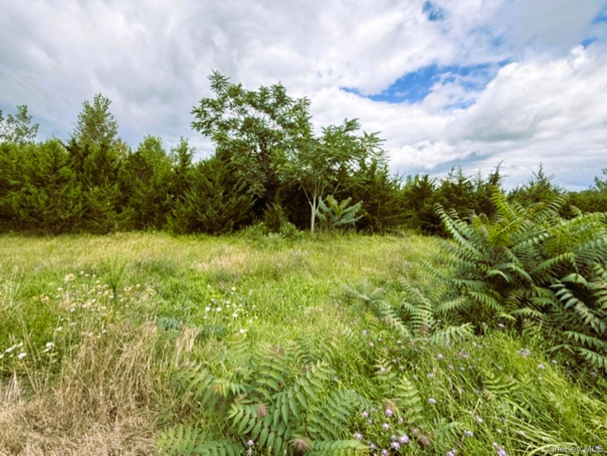 Us 9 Property Photo 2