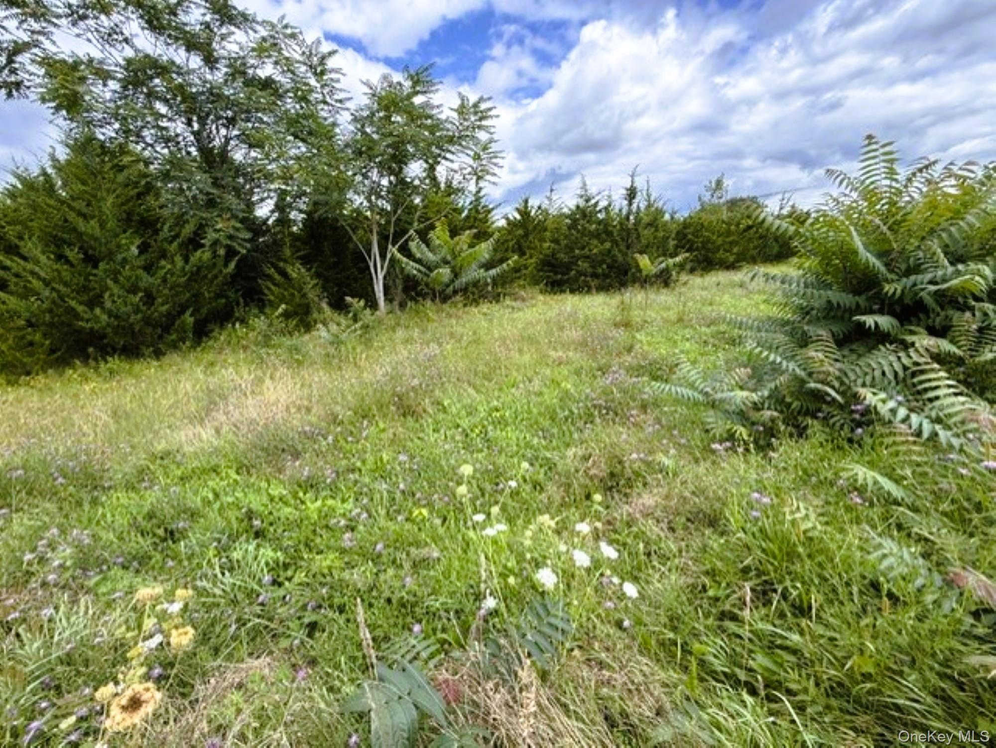 Us 9 Property Photo 4