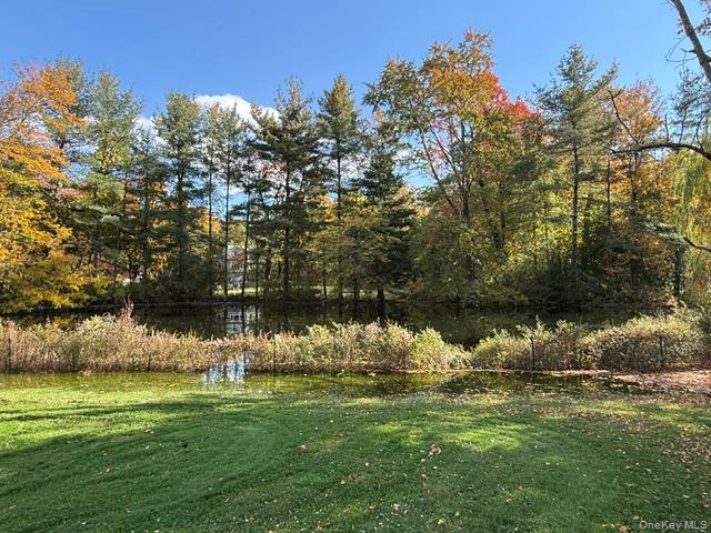 19 Greentree Drive Property Photo 21