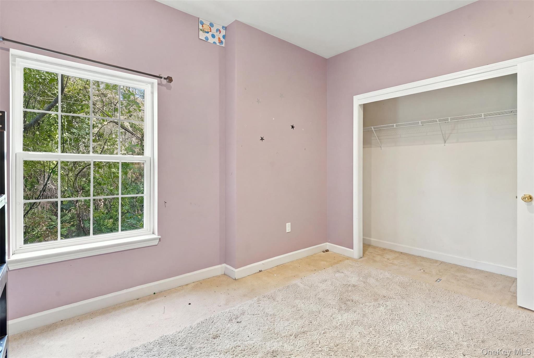 9 Ash Road Property Photo 33