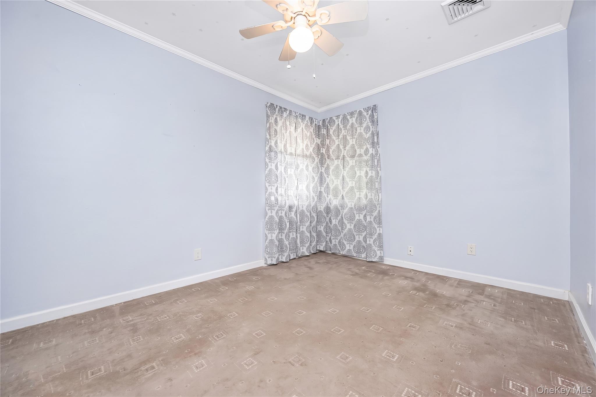 19 Leonard Road Property Photo 19