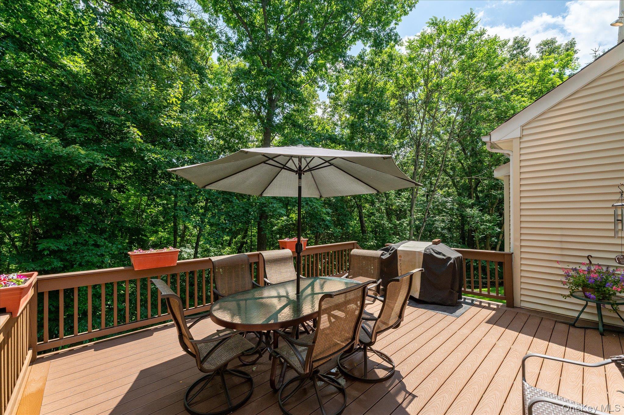 6 Theal Court Property Photo 41