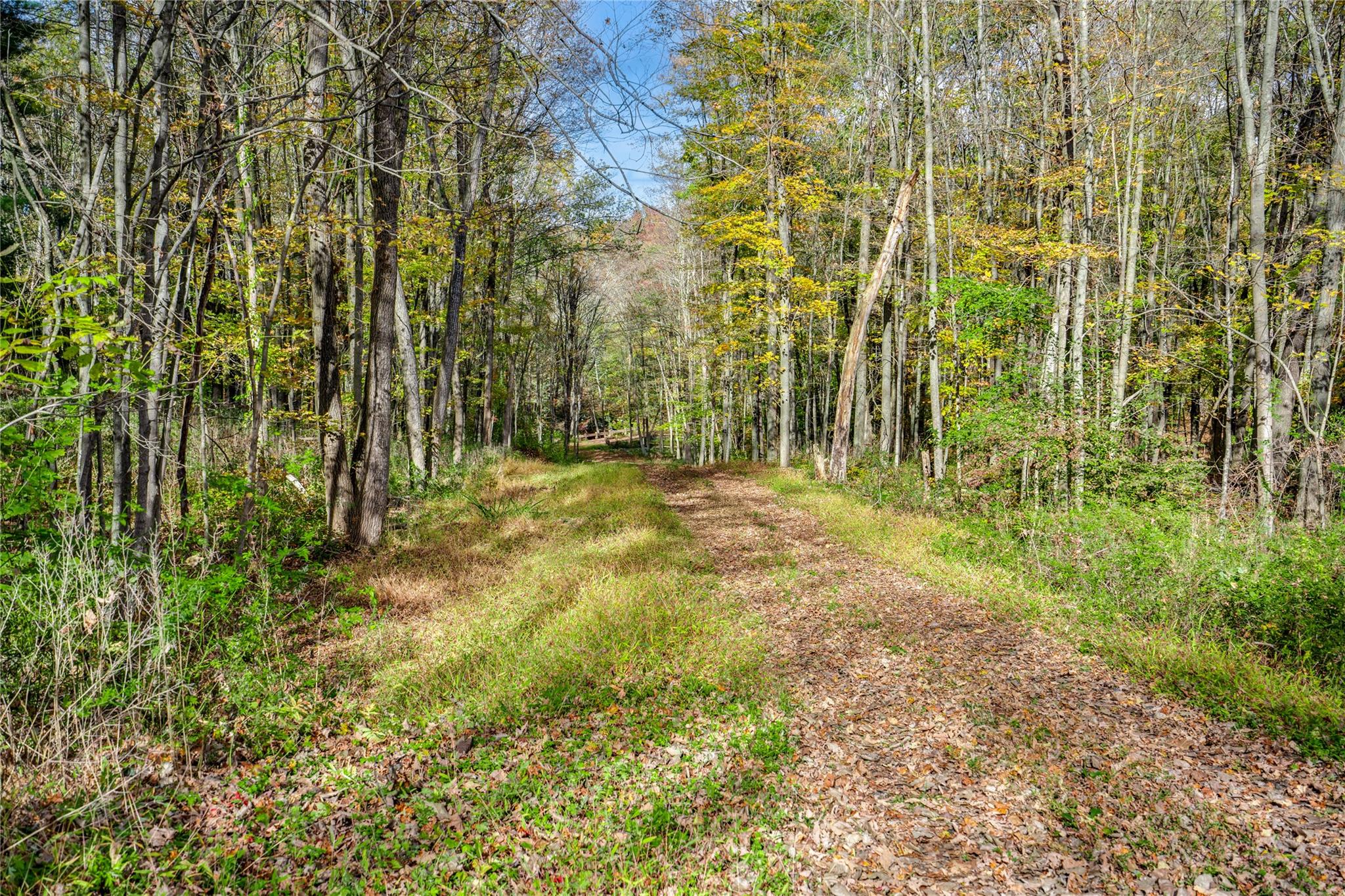 133 Drake Road Property Photo 16