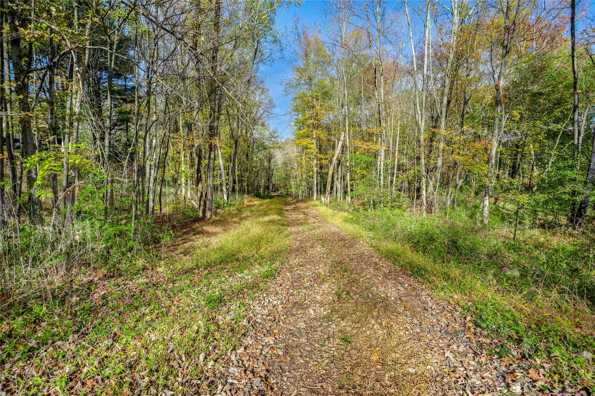 133 Drake Road Property Photo 17
