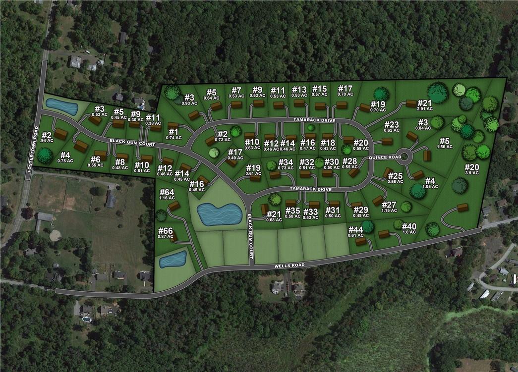 19 Black Gum Court Property Photo 10