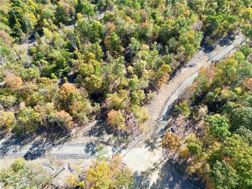 19 Black Gum Court Property Photo 13