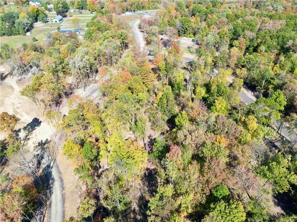 19 Black Gum Court Property Photo 15