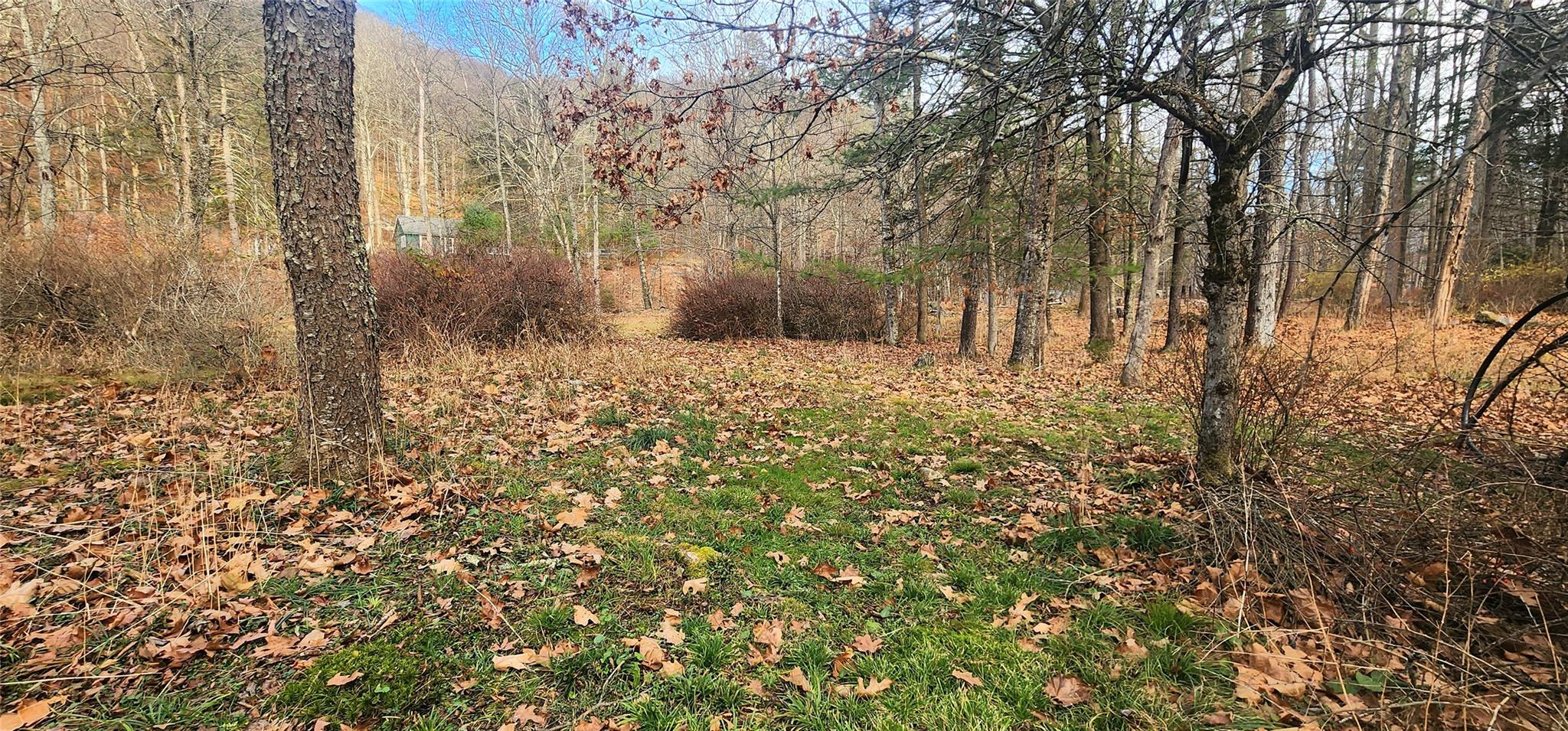 71 Peekamoose Road Property Photo 20