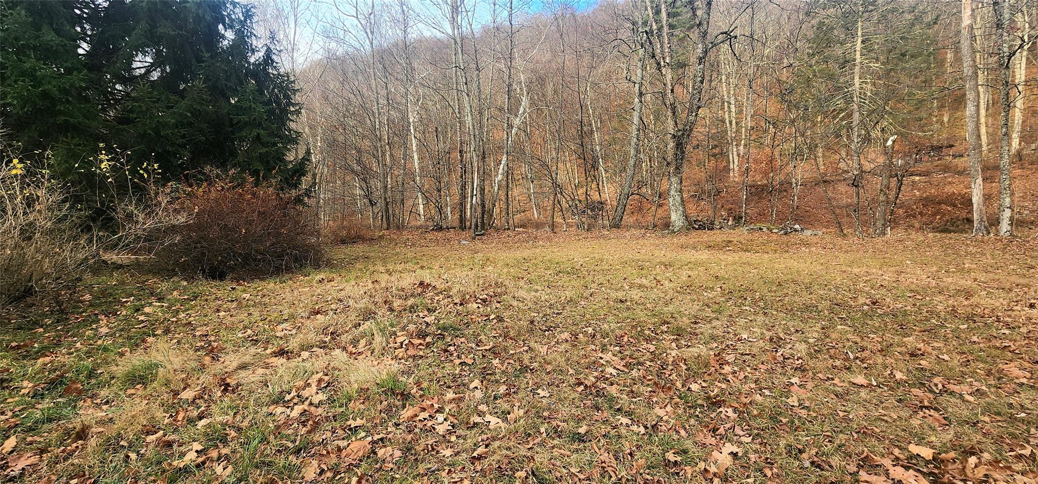 71 Peekamoose Road Property Photo 21