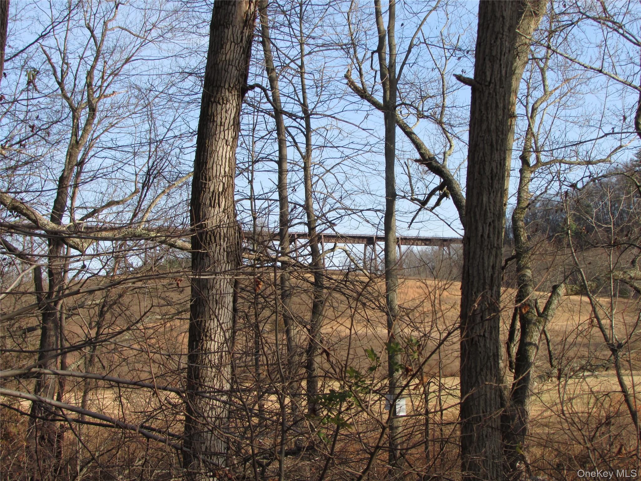 140 Orrs Mills Road Property Photo 21