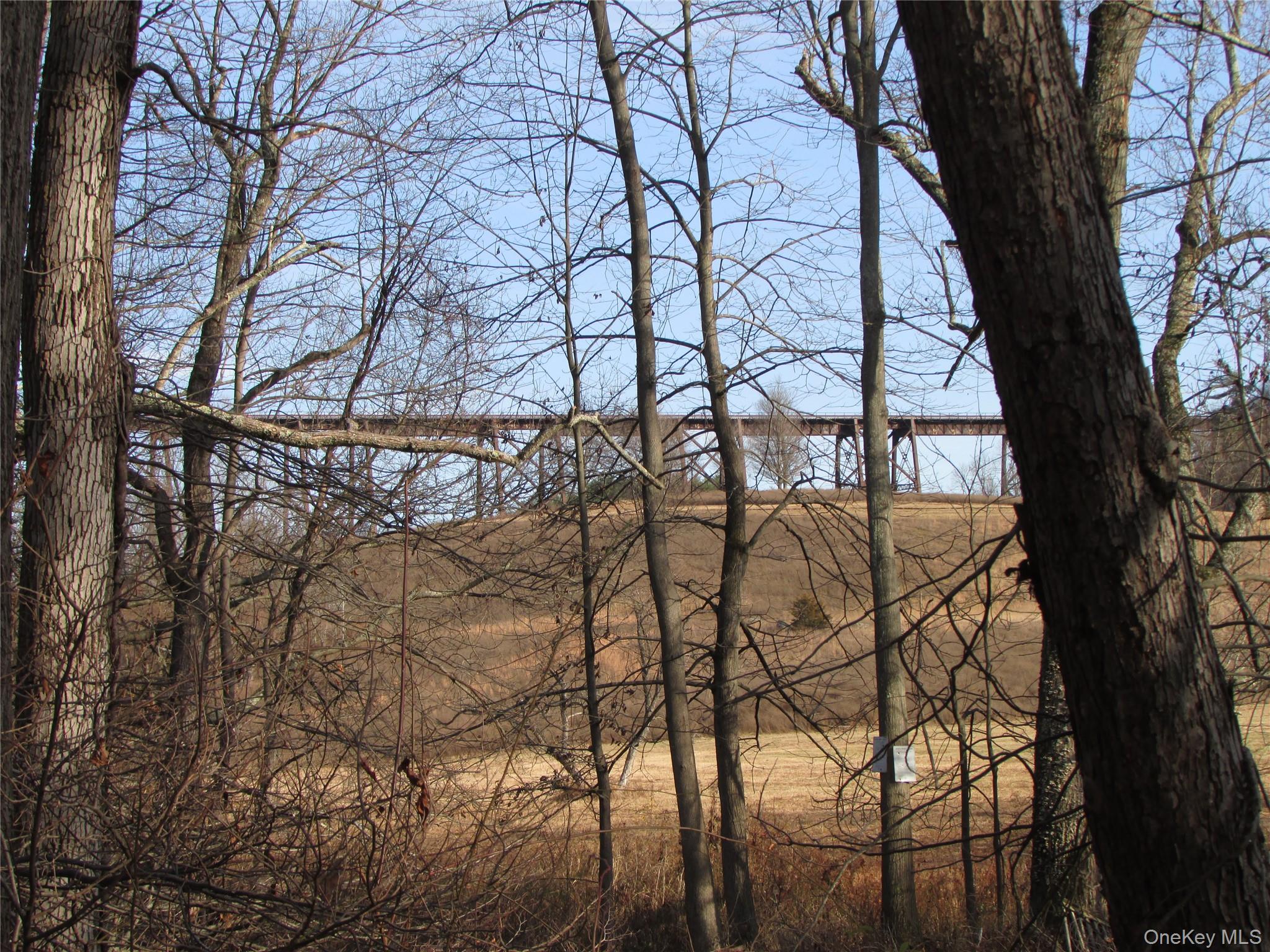 140 Orrs Mills Road Property Photo 22