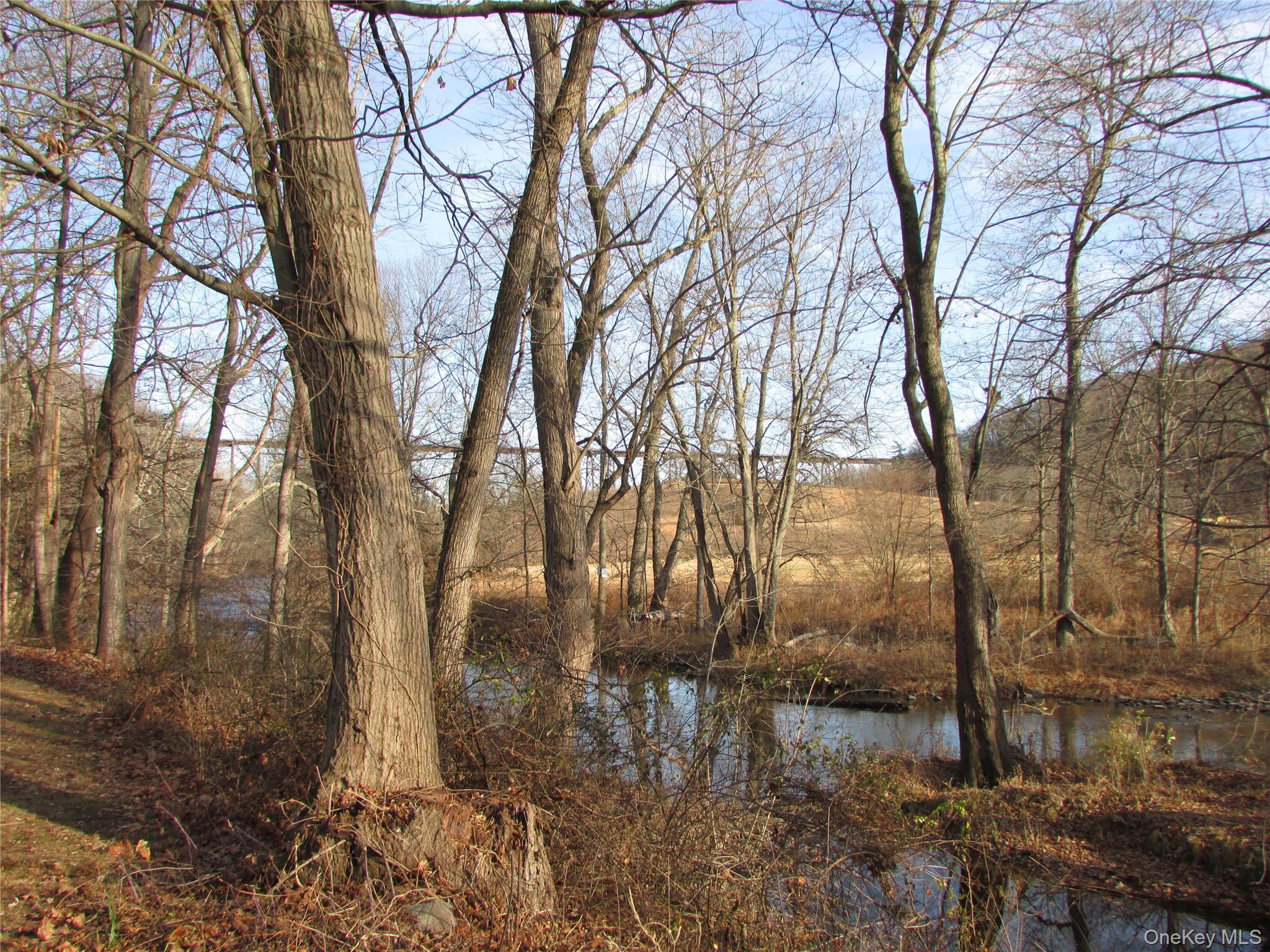 140 Orrs Mills Road Property Photo 30