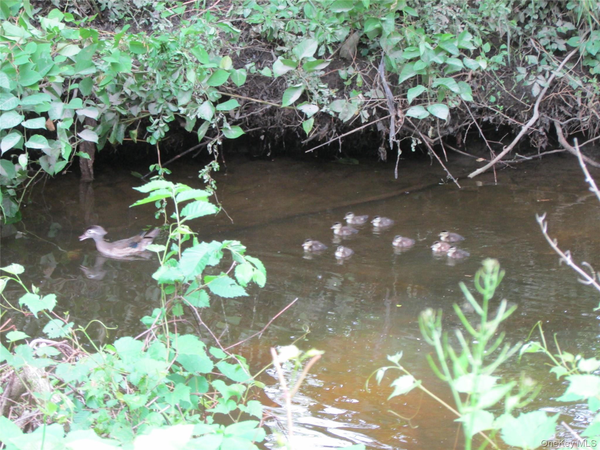 140 Orrs Mills Road Property Photo 39