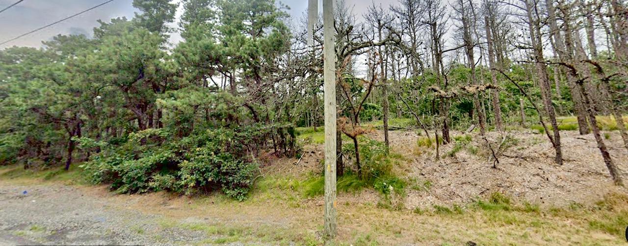 202-214 Old Country Property Photo 8