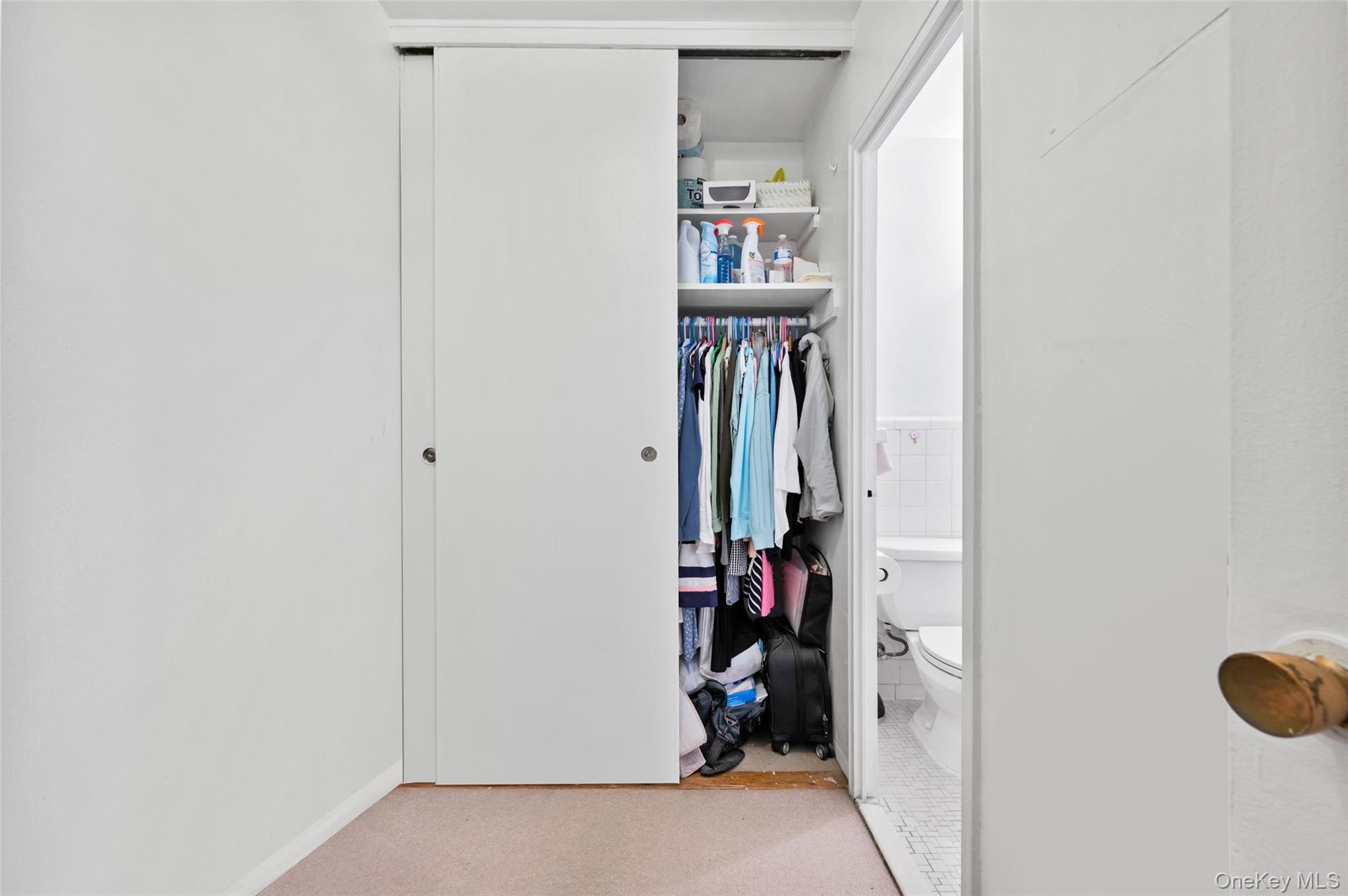 220-55 46 Avenue 5r Property Photo 11